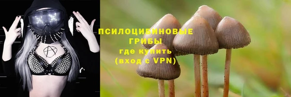 ГАЛЛЮЦИНОГЕННЫЕ ГРИБЫ Майский
