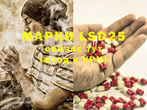 ПСИЛОЦИБИНОВЫЕ ГРИБЫ Магас