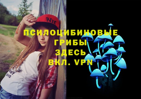 ПСИЛОЦИБИНОВЫЕ ГРИБЫ Магас