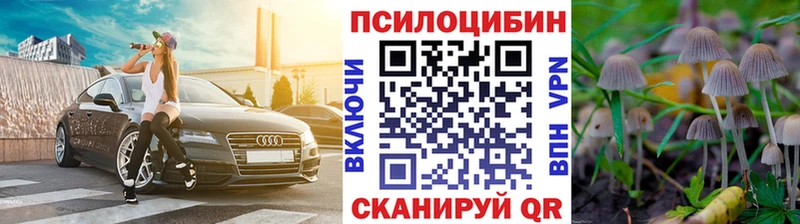 Псилоцибиновые грибы прущие грибы  Томари 